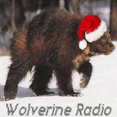 Wolverine Radio 6930kHz 0001UTC 122515 - Edit