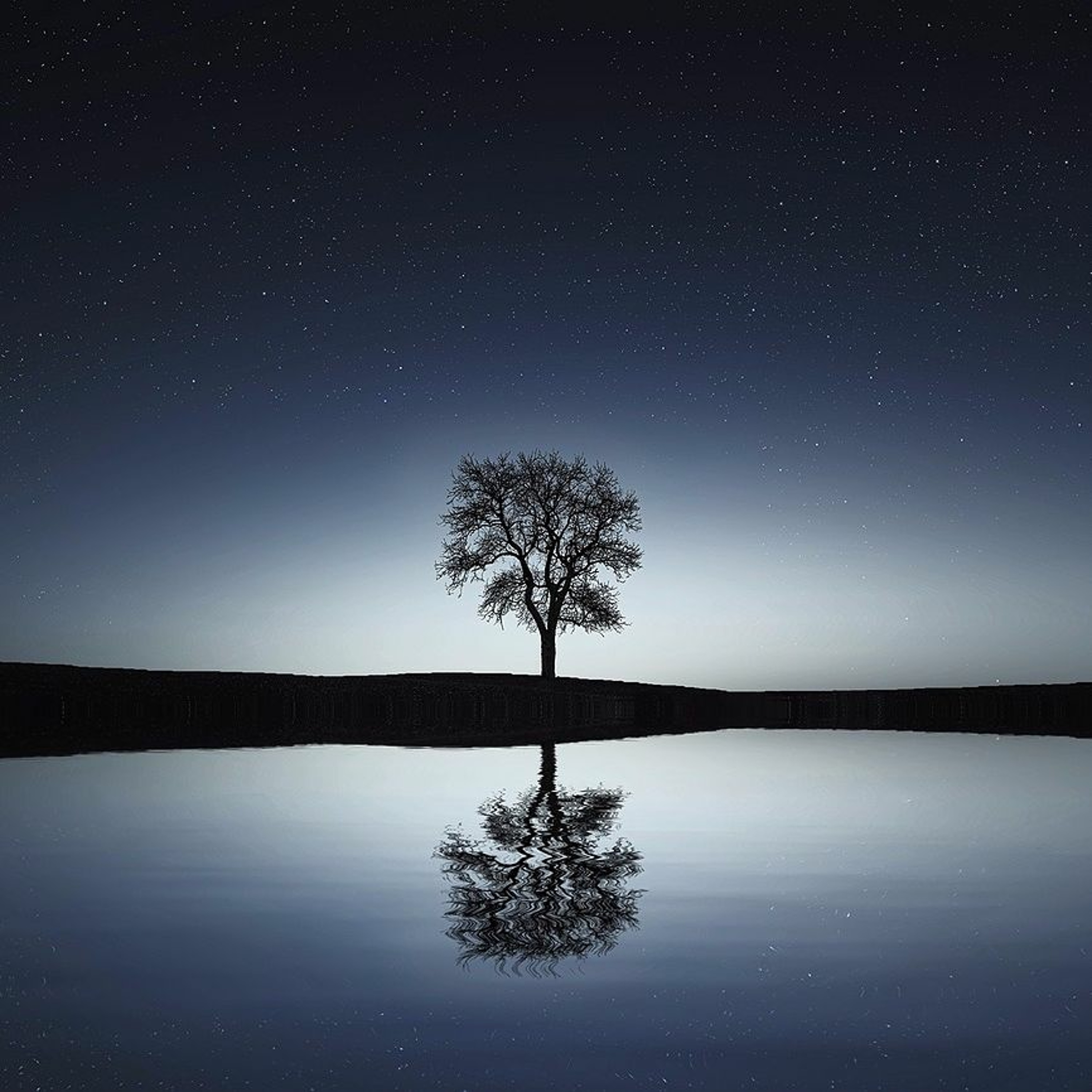 Dreaming by Rog(u)e, Rüdiger Rose & Christoph Geisler