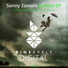 PD085 Sonny Zamolo - Camino (Lian July Remix) Preview [Pineapple Digital]