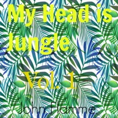 My Head Is Jungle Vol. 1 By John Flamme 2 K [Free Download]