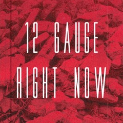 12 Gauge - Right Now (Prod. XaviorJordan)