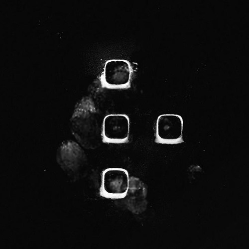 If They Let Us [ANTi World Tour Intro made by Hazei]