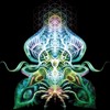 Wandering Frequencies Vol. 002 - Animal Rights
