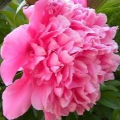 So Beautiful ft. Demallo aka Mr. Countryfied