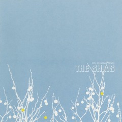 The Past And Pending (The Shins)