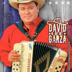 DAVID LEE GARZA MIX - Puras Texanitas  de Antaño #41