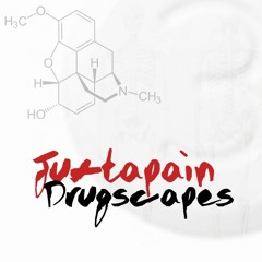 Shiny New Police Truck (Listen While High)