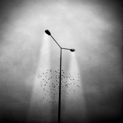 Ice Field --- Electronic - Drum & Synth