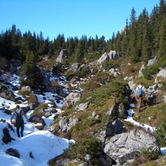 Wetten Bass - Ich bin OK, Du bist OK