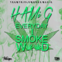 Vybz Kartel - Every Day I Christmas (Remix) Hami G - Every Day Wi Smoke Weed - T3M - 2016