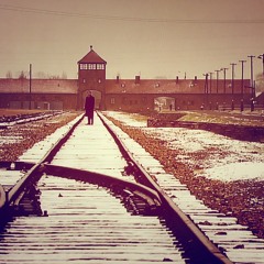 Snow Falling on Auschwitz