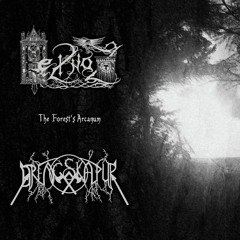The Forest's Arcanum (Split CD Heilnoz, 2015)