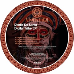 Danilo De Santo - Digital Tribe (Mr Campo Remix) Preview