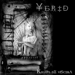 Khaos De Viscera - YBRID - Live 2006