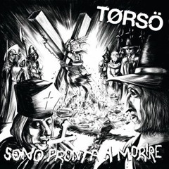 TORSO - Reflections On A Damaged Life
