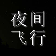 夜间飞行