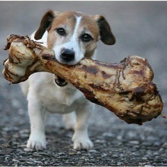 R2 - Big Bone