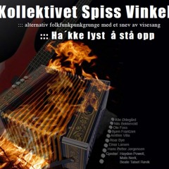 SPISS VINKEL - Det er ikke greit å være meg - Ole Foss