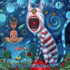 2 Southwild - Groove Within The Beat