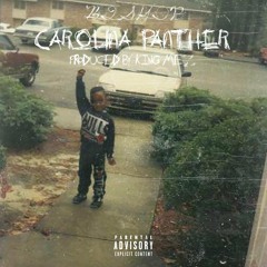 Carolina Panther Prod. by @Kingmez