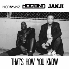 Nico & Vinz - That's How You Know (JANJI X Hogland Remix)