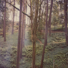 Decf 28 29 Track RePosts. Female Talent.