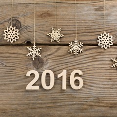 Серебряный Дождь. Новый Год. Операция "Ы"