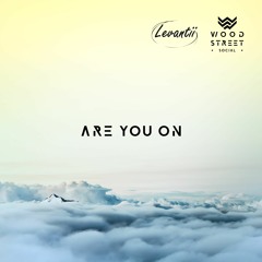 Levantii X Wood Street Social - Are You On ft. Moss