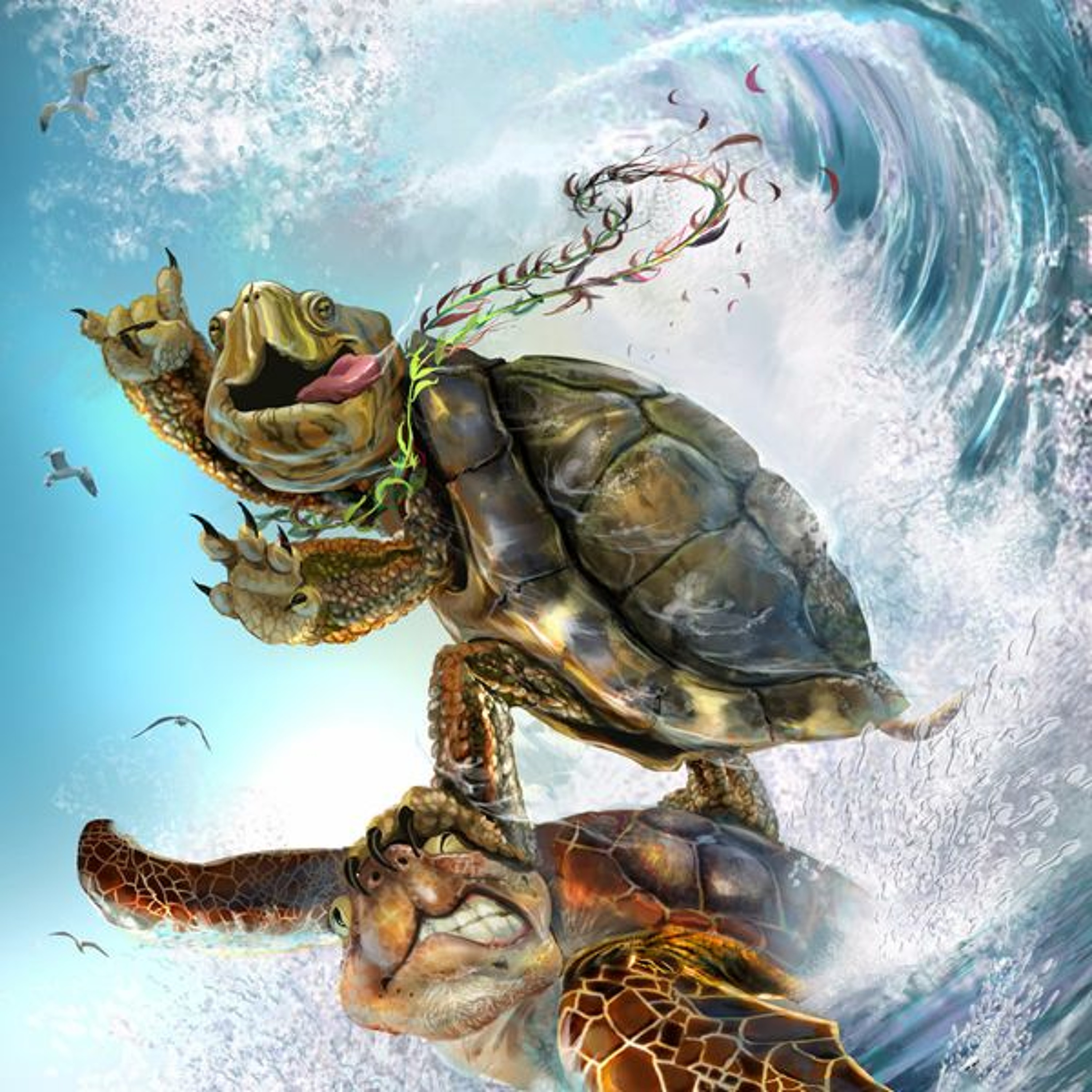 Turtles On Waves episode artwork