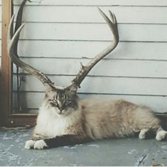 Electro Hip Hop Chiptune Instrumental  ("8Bit-Beat") /Ver.1.2 By Maleficat