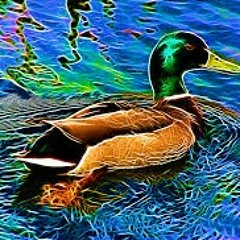 Lil Duck Jumpman x Freestyle