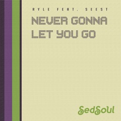 Never Gonna Let You Go 96kbps