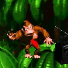 Donkey Kong Hills