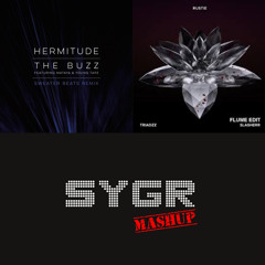 Hermitude vs. Rustie x Flume - The Buzz Slasherr (SYGR Mashup)