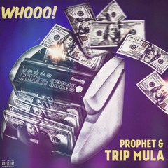 WHOOO - Trip MULA X PROPHET ( PROD. JUAN INSTRUMENTALS )