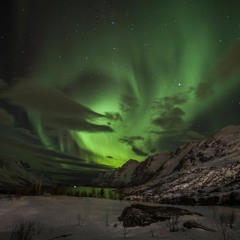 Bass House 2015 By D!GMARQ