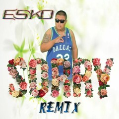 ESKO - WHY YOU WANT TELL ME SORRY (SORRY REMIX)