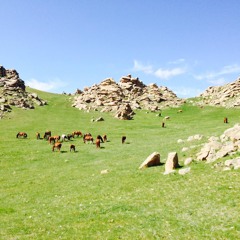 01.Монголын Эх Түүх Цуврал - Эхлэл