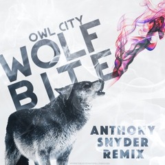 Owl City - Wolf Bite Remix