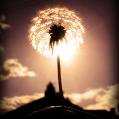 Valentin - One Sweetest