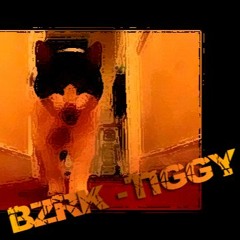 BZRK - TIGGY