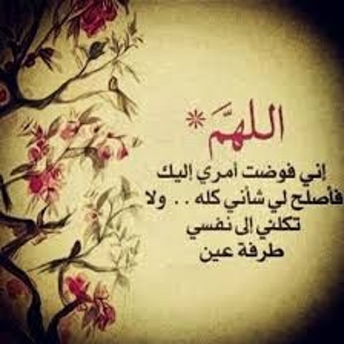 يعني ايه الاستخارة ؟ أ.وجدان العلي
