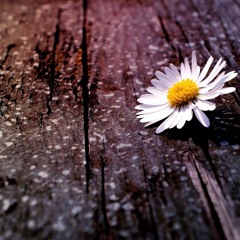 SATIWA (Black Diamond sound system)- Live