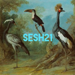SESH 21 part three / HIGH JET & Moduler live