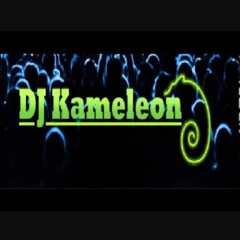 DJ Kameleön - I'm Going Crazy (Lolita Jolie - Bonjour Madame Remix)