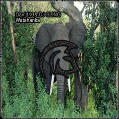 Dav!d X & DJ SLING - Watahanka (Original Mix) [OUT NOW]
