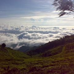 The Heart's In The Village