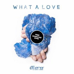 Mike Mago - What A Love (Steerner Bootleg)