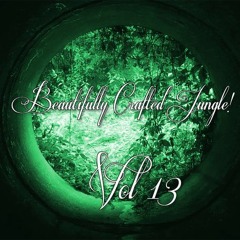 Volume 13 : Kid Lib