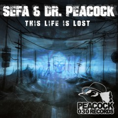 Dr. Peacock & Sefa Ft. MC Lenny - Trip To Turkey
